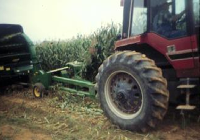 Image of corn being harvested.