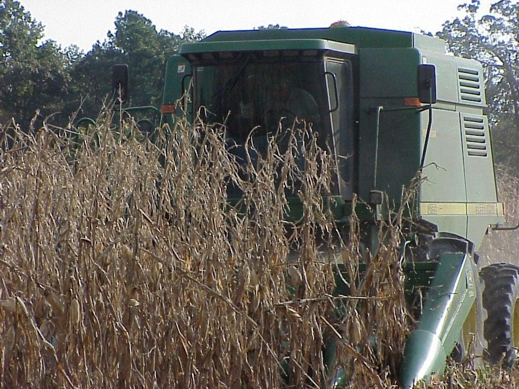 Corn combine image.